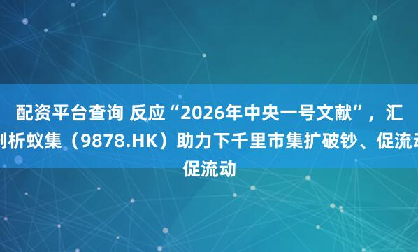 配资平台查询 反应“2026年中央一号文献”，汇剖析蚁集（9878.HK）助力下千里市集扩破钞、促流动