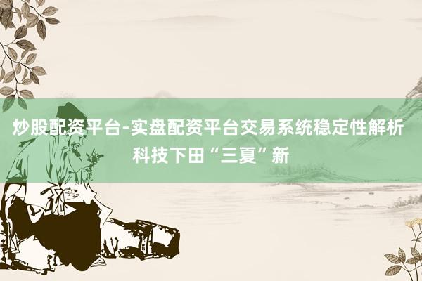 炒股配资平台-实盘配资平台交易系统稳定性解析 科技下田“三夏”新