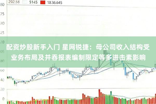 配资炒股新手入门 星网锐捷：母公司收入结构受业务布局及并吞报表编制限定等多进击素影响
