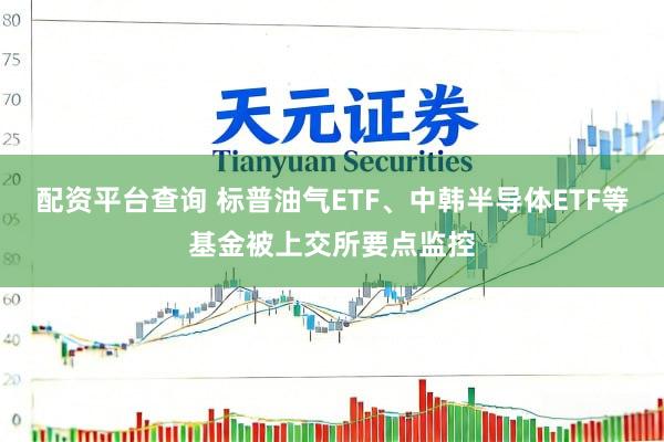 配资平台查询 标普油气ETF、中韩半导体ETF等基金被上交所要点监控